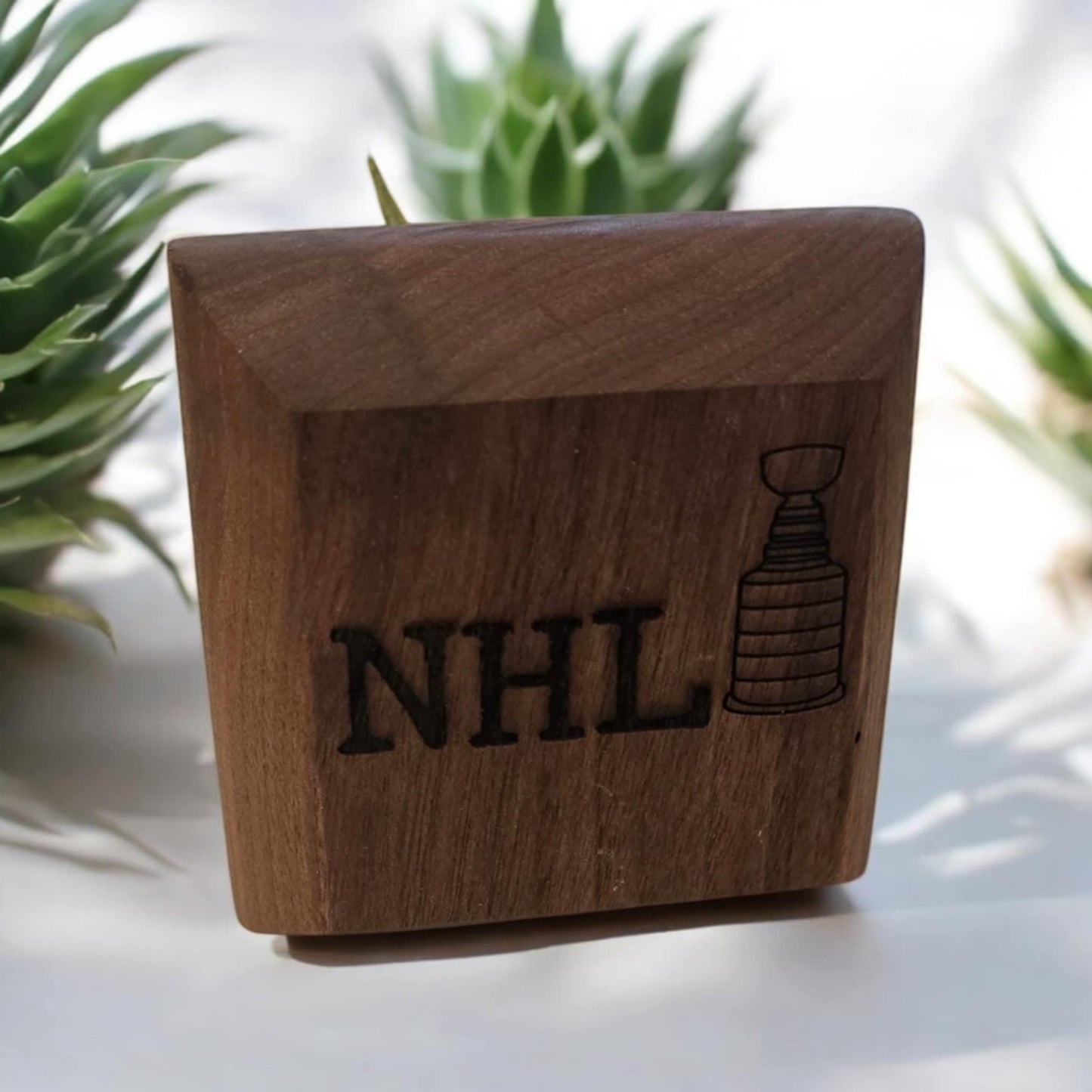 Walnut Succulent Planter - Fake Succulent Plant included