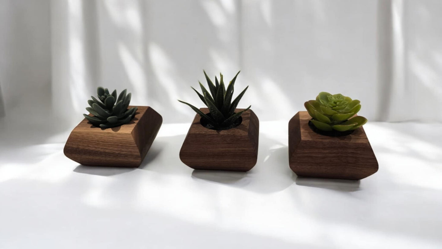 Walnut Succulent Planter - Fake Succulent Plant included