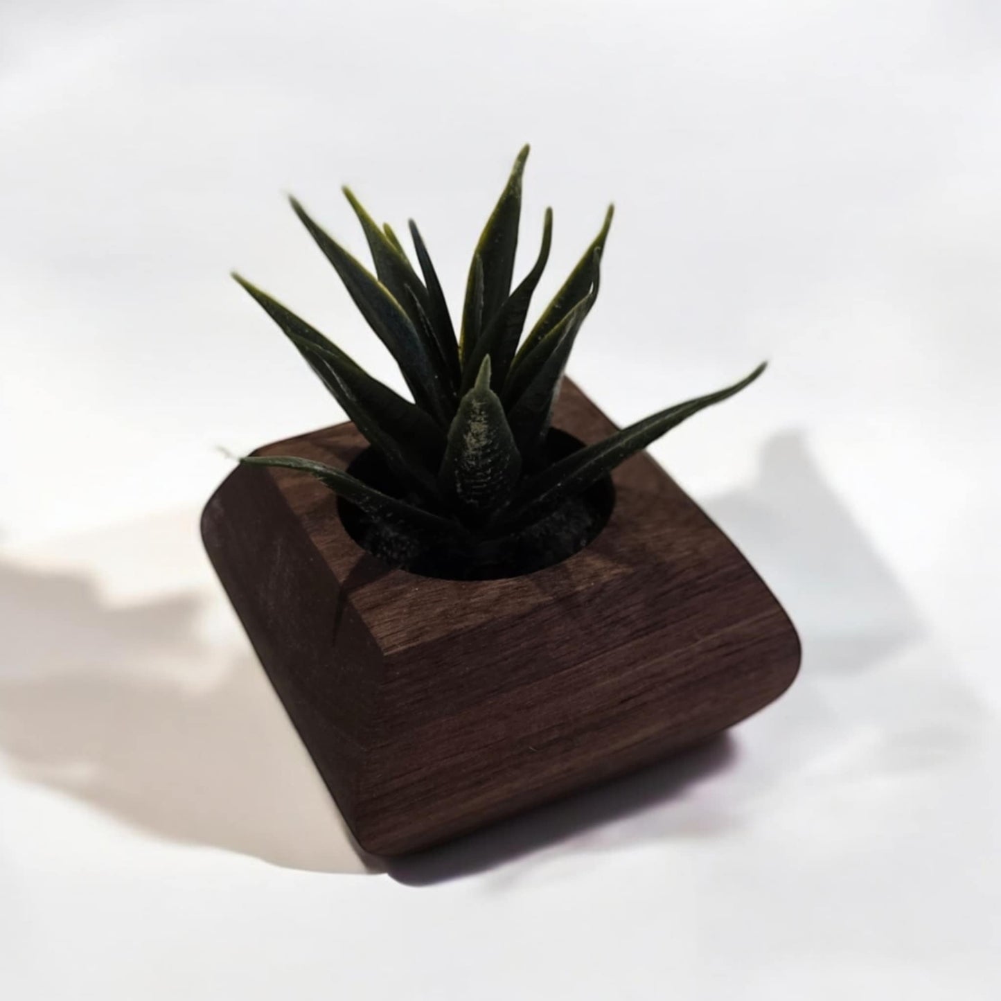 Walnut Succulent Planter - Fake Succulent Plant included
