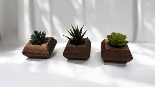 Pot pour succulente en noyer - Fausse Succulente incluse