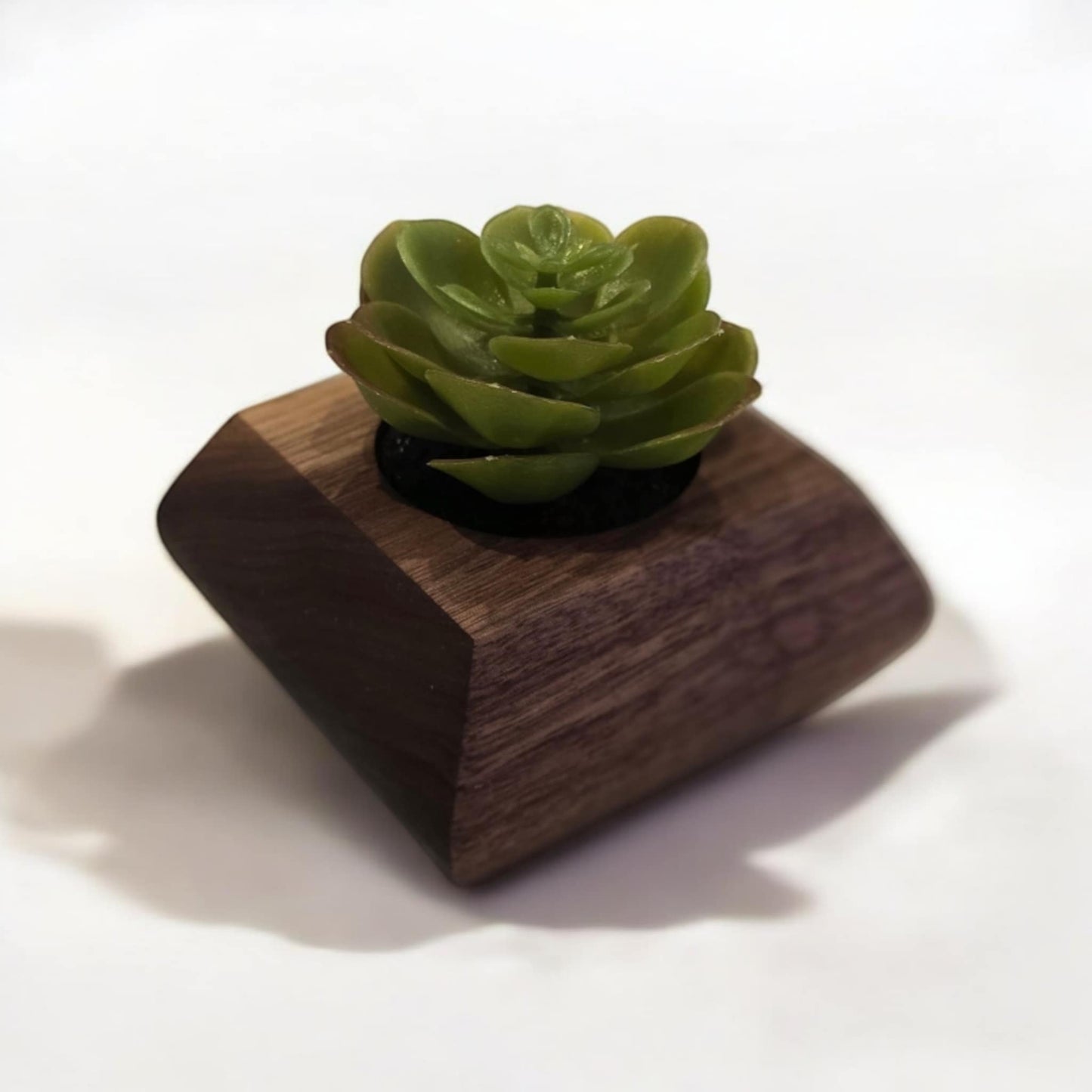 Pot pour succulente en noyer - Fausse Succulente incluse